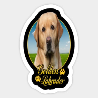 Golden Labrador Sticker